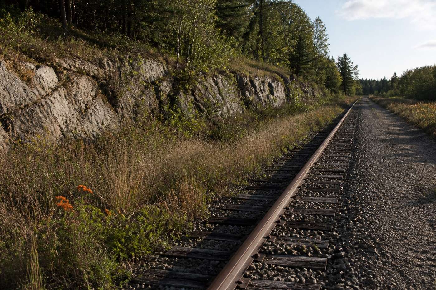 Rail corridor running through grasses and Canadian Shield stone